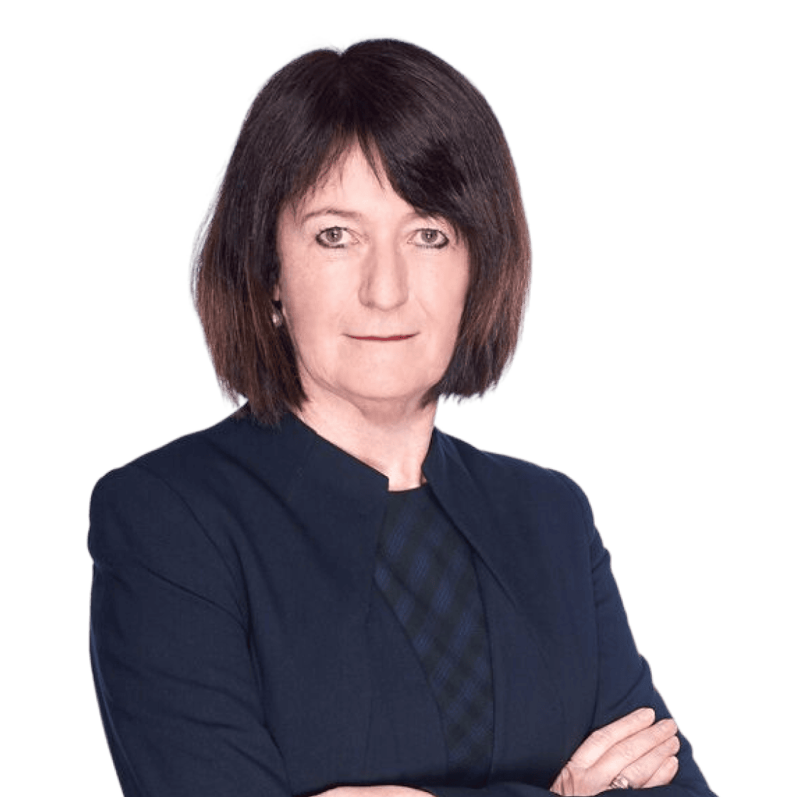Dr Sue McNicol AM KC